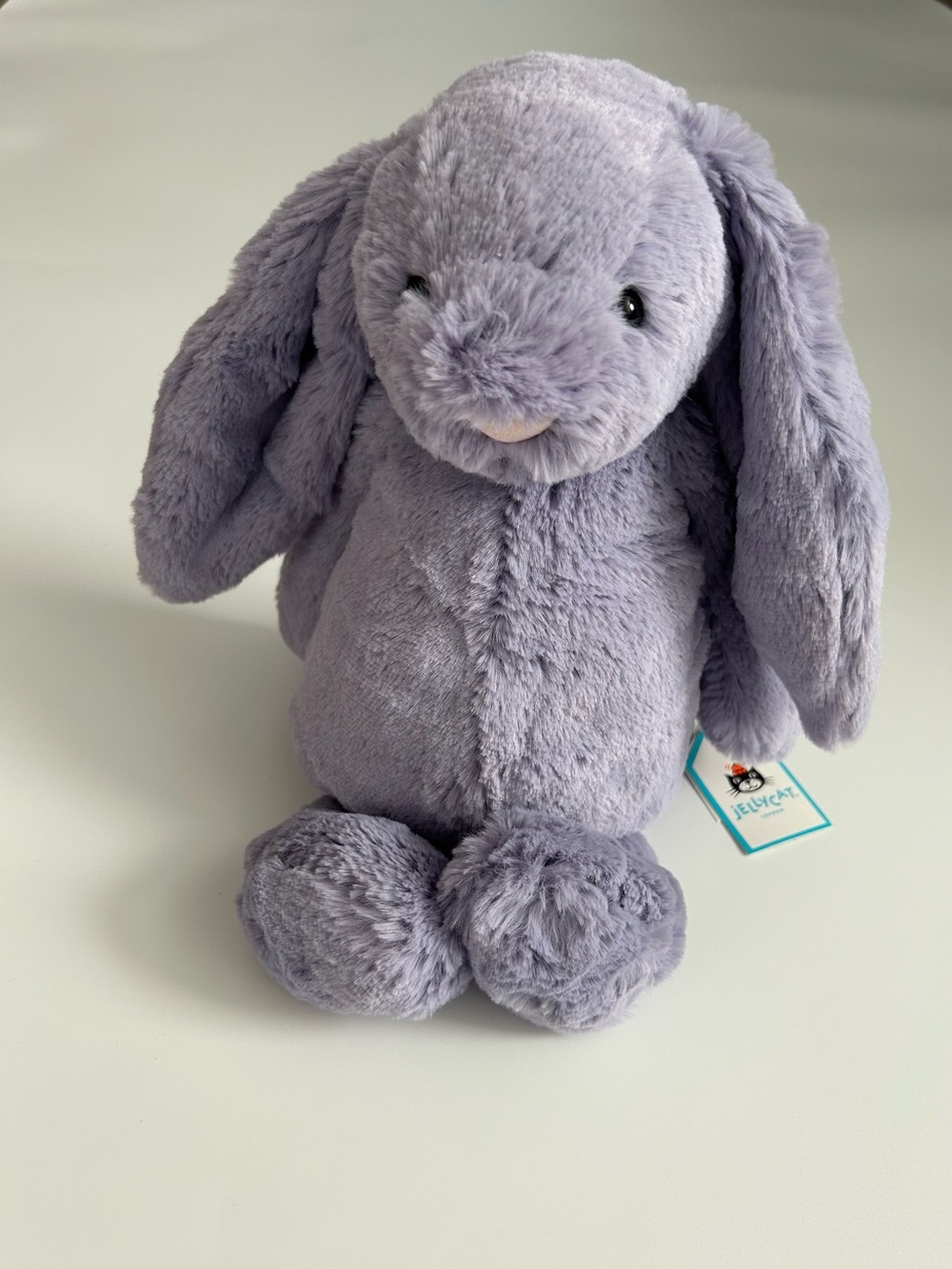 NWT Jellycat Bashful Viola Bunny Medium 12” Plush Purple
Floppy
Soft
Cuddle
Cute